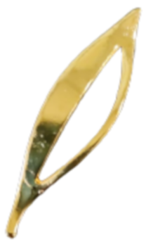 hoja, feuille, leaf, foglio