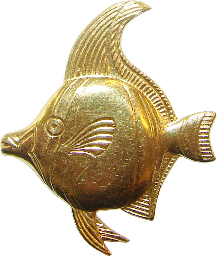 pez peces fish fishes poisson pesce pesci