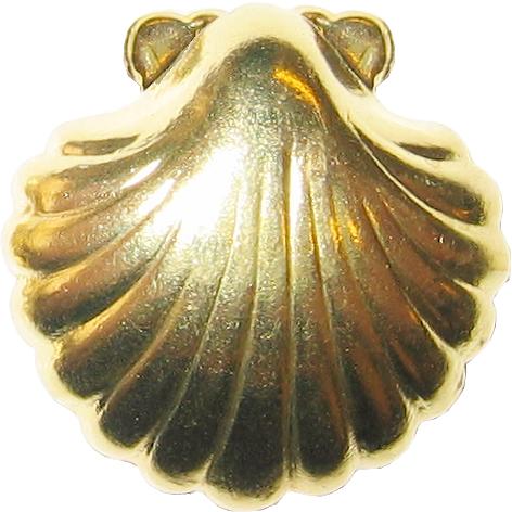 escupi&ntilde;as seashell