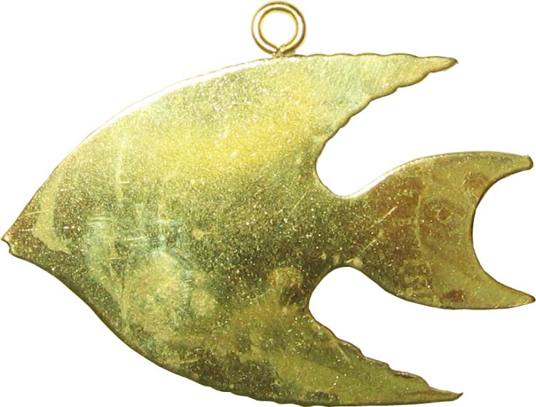 pez peces fish fishes poisson pesce pesci