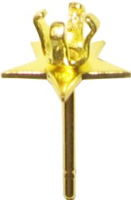 orecchini a perno pezzi porta strasse 