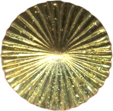 Bouton bottone button bot&oacute;n botones cone cono