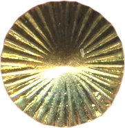 Bouton bottone button bot&oacute;n botones cone cono