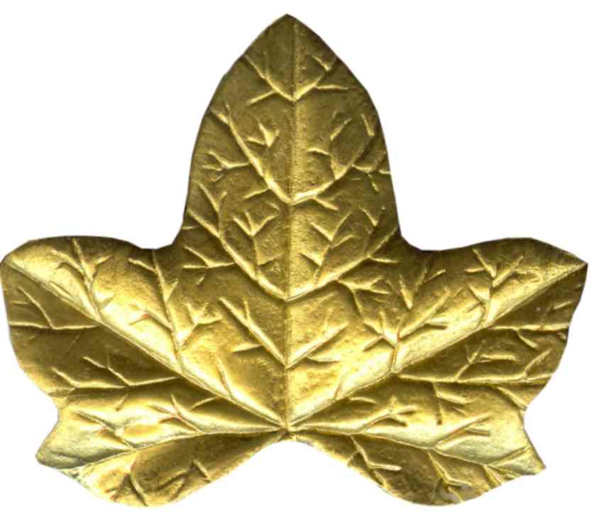 hojas leafs